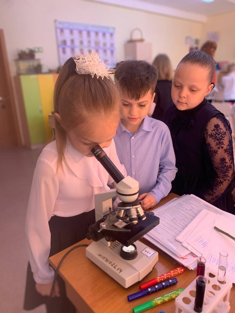 В начальной школе завершилась неделя окружающего мира.